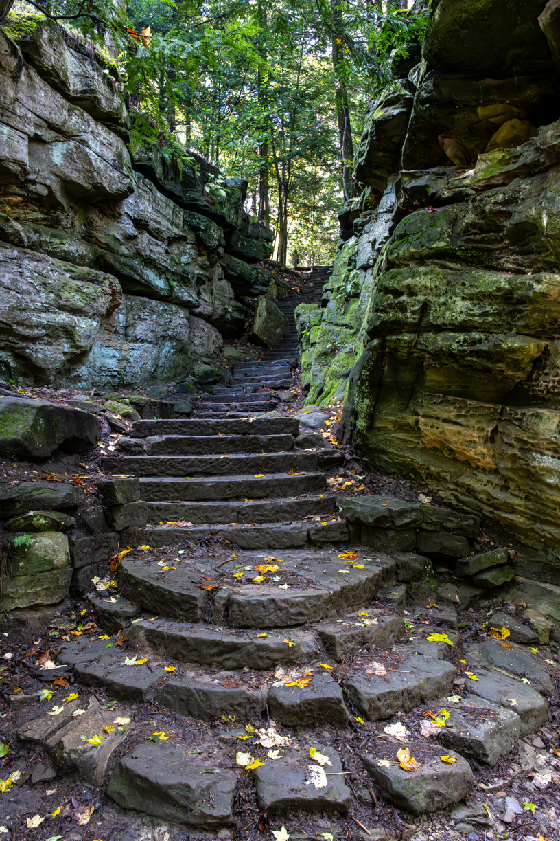 Stone staircase with mossy sides.